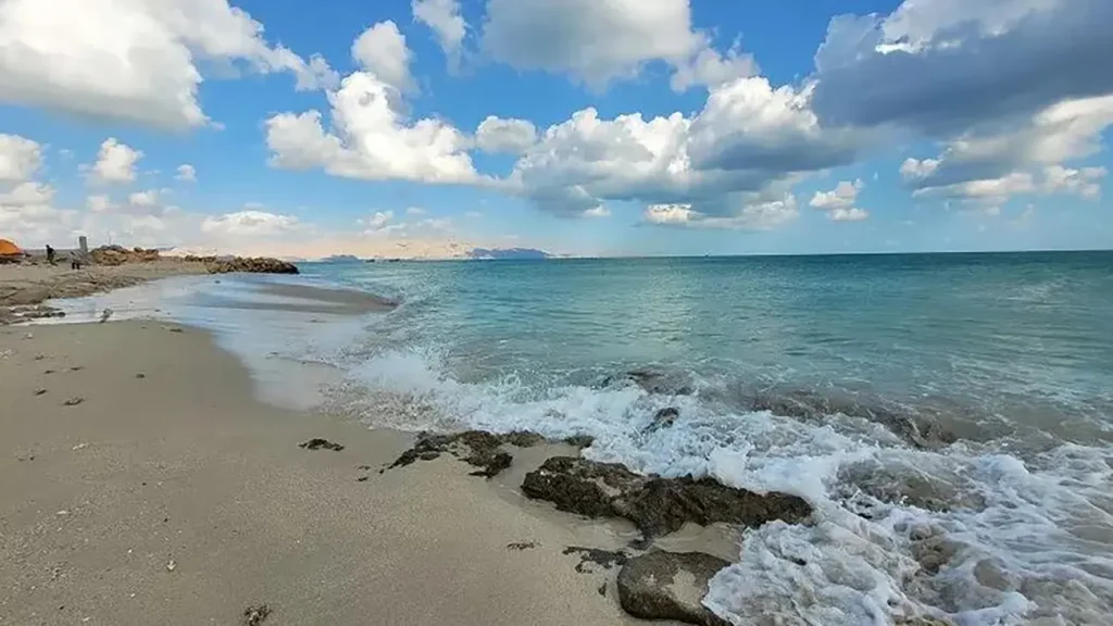 ساحل