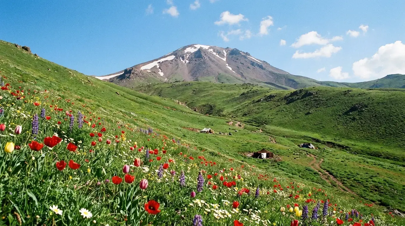 دامنههای سرسبز سبلان؛ بهشتی برای طبیعتگردان
